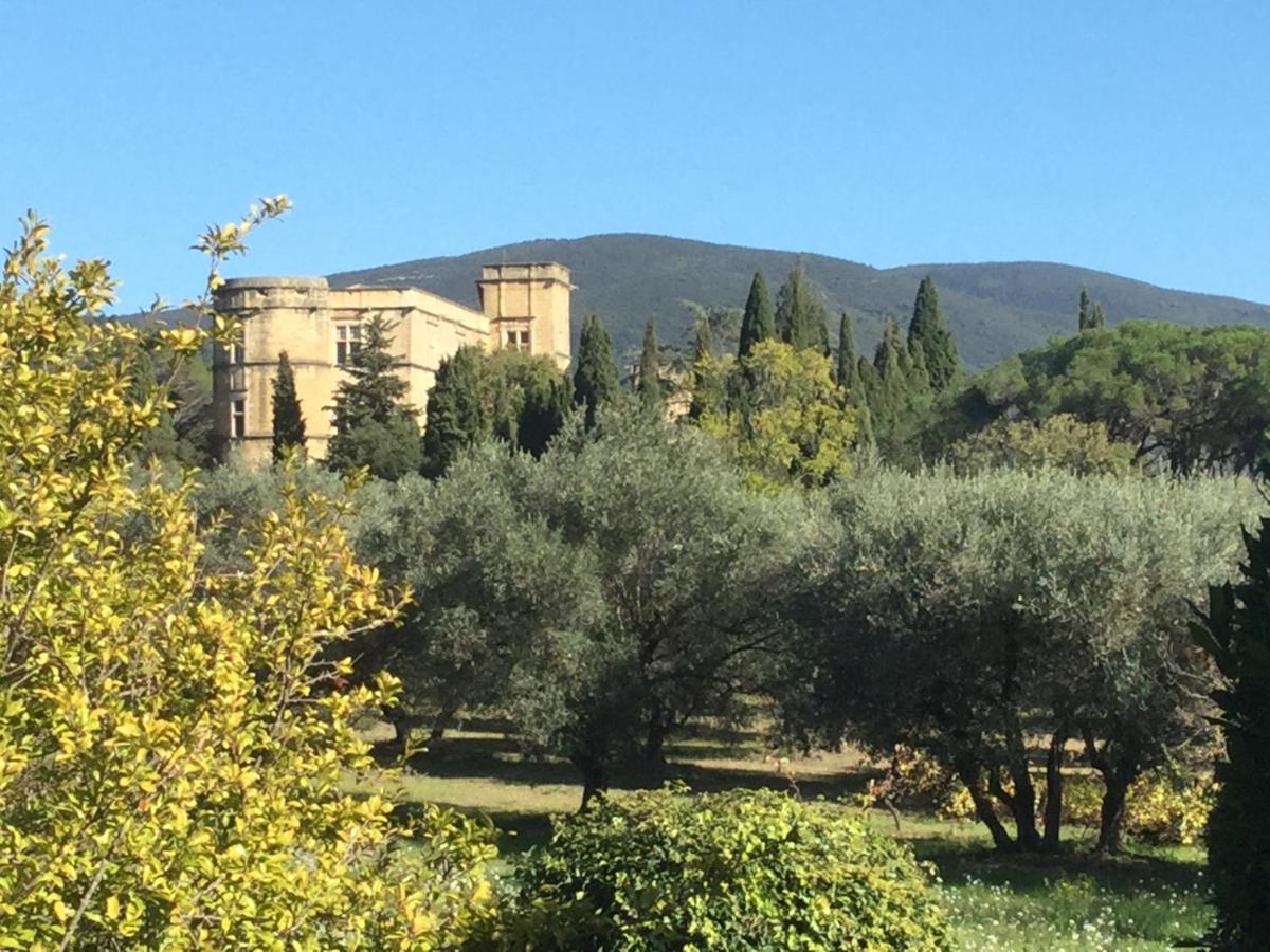 Domaine De Casteuse Appartement Les Vignes Lourmarin Exterior photo