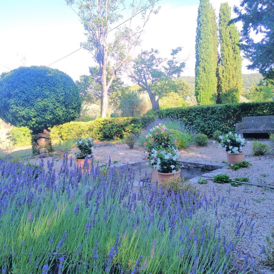 Domaine De Casteuse Appartement Les Vignes Lourmarin Exterior photo