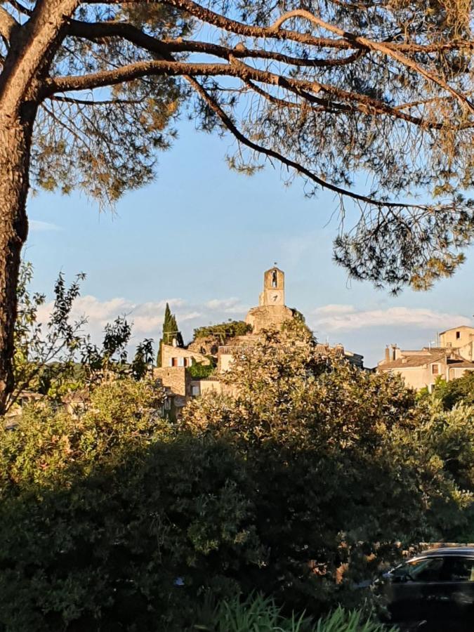 Domaine De Casteuse Appartement Les Vignes Lourmarin Exterior photo