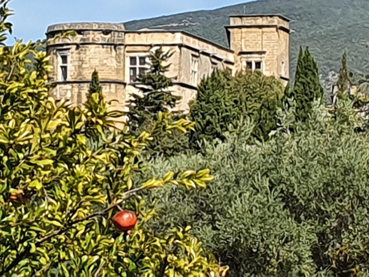 Domaine De Casteuse Appartement Les Vignes Lourmarin Exterior photo