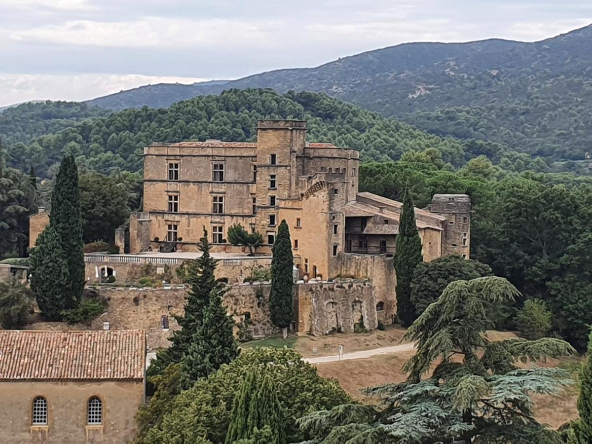 Domaine De Casteuse Appartement Les Vignes Lourmarin Exterior photo