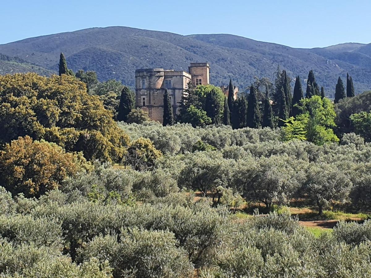 Domaine De Casteuse Appartement Les Vignes Lourmarin Exterior photo