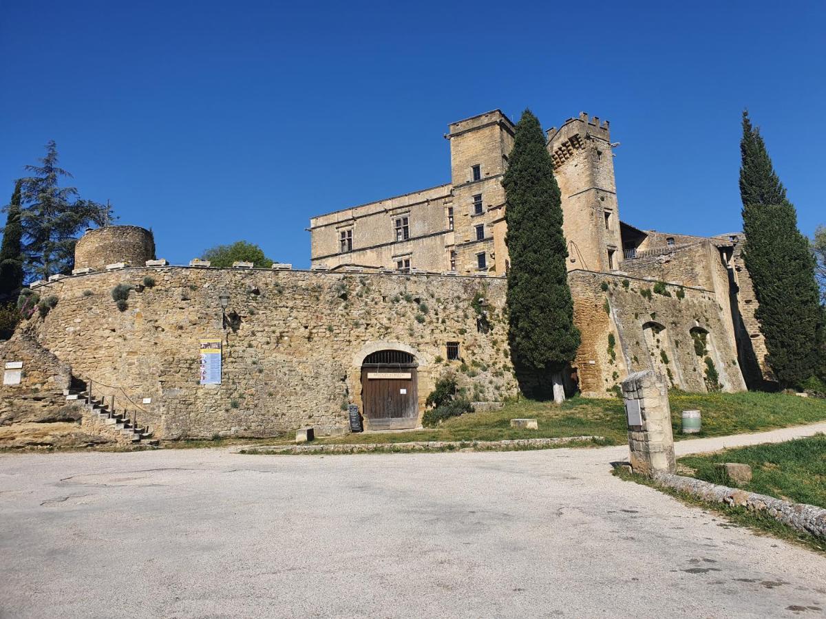 Domaine De Casteuse Appartement Les Vignes Lourmarin Exterior photo