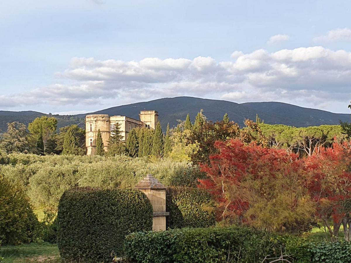 Domaine De Casteuse Appartement Les Vignes Lourmarin Exterior photo