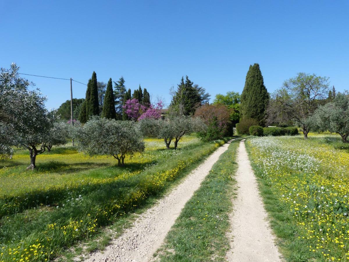 Domaine De Casteuse Appartement Les Vignes Lourmarin Exterior photo