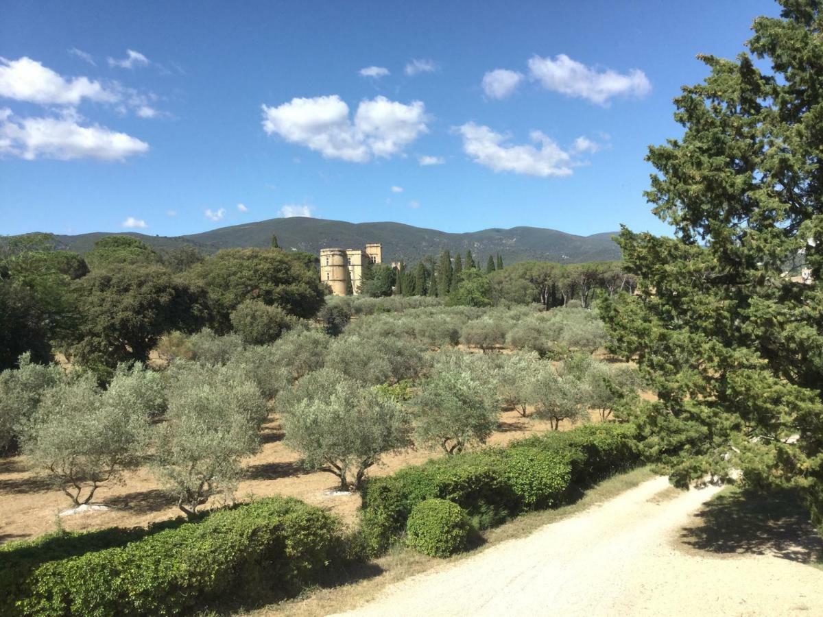 Domaine De Casteuse Appartement Les Vignes Lourmarin Exterior photo